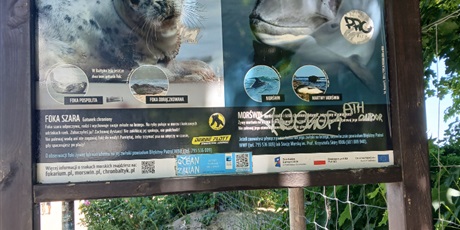 Powiększ grafikę: ekologiczne-terenowki-707395.jpg
