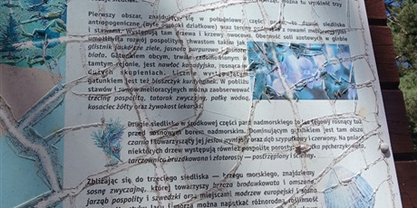Powiększ grafikę: ekologiczne-terenowki-707396.jpg