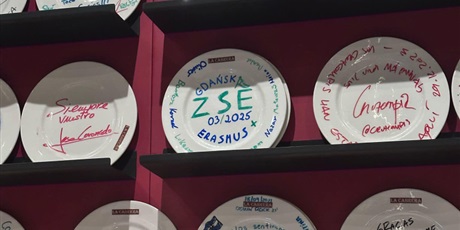 Powiększ grafikę: erasmus-drugi-dzien-na-maladze-597350.jpg