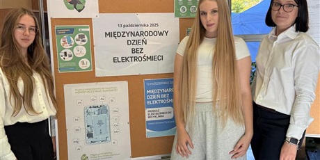 Powiększ grafikę: miedzynarodowy-dzien-bez-elektrosmieci-645552.jpg