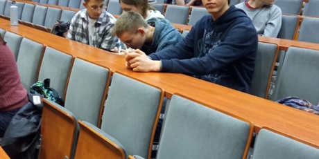 Powiększ grafikę: strach-sie-bac-kino-marka-piestraka-nocny-maraton-filmowy-dzwig-u-615851.jpg