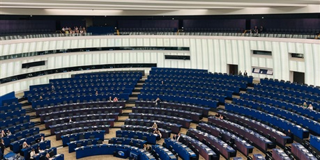 Powiększ grafikę: wizyta-studyjnana-nauczycieli-zse-w-parlamencie-europejskim-w-strasburgu-702304.jpg