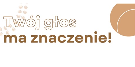 Powiększ grafikę: wybory-do-rady-samorzadu-uczniowskiego-660947.jpg