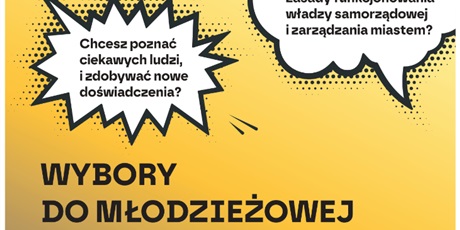 Powiększ grafikę: wybory-mlodziezowej-rady-miasta-gdanska-672558.jpg