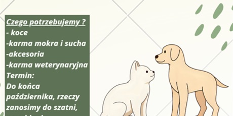Zbiórka darów dla bezdomnych zwierząt